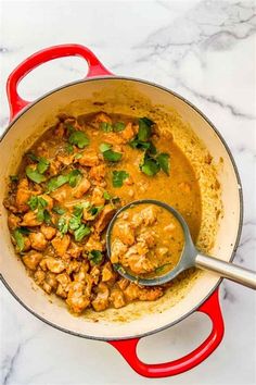 a red pot filled with chicken curry and garnished with cilantro