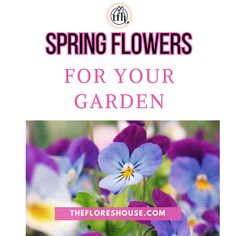 purple and blue flowers with the words spring flowers for your garden