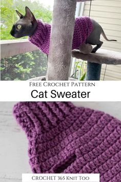 a cat sitting on top of a tree next to a purple knitted sweater with the caption free crochet pattern