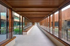 a long hallway with wooden walls and windows on both sides, leading to an office building