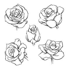 four roses drawn in black and white on a white background, each with different petals