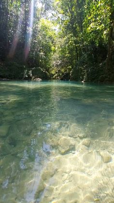 the water is crystal clear and there are trees in the background