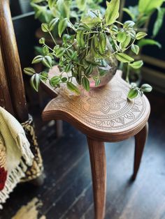 a potted plant sitting on top of a wooden table next to a chair and rug