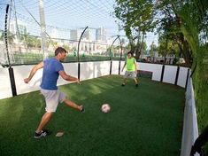 Backyard Soccer Ideas, Mini Soccer Field Backyard, Soccer Backyard, Sports Training Facility