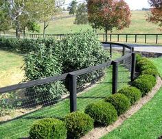 a black wire fence is in the middle of a grassy area