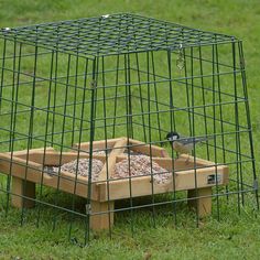 a bird in a cage eating out of it's food tray on the grass