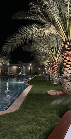 an empty pool surrounded by palm trees at night