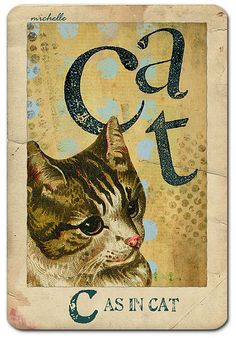 a cat with the word cats in it's face on top of a card