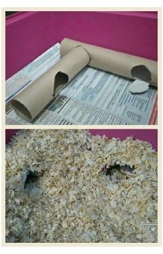 two pictures showing the inside and outside of a cardboard box filled with shredded paper, next to an image of a rolled up newspaper