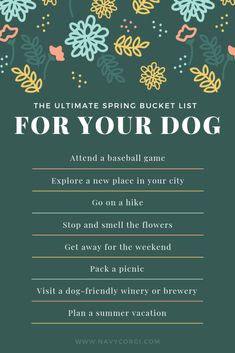 the ultimate spring bucket list for your dog, with an image of flowers and leaves