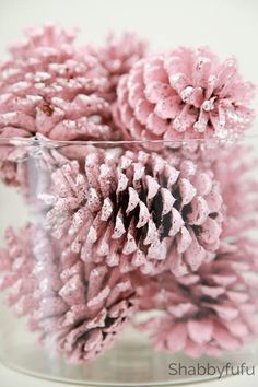 some pink pine cones are in a glass vase with water droplets on the top and bottom