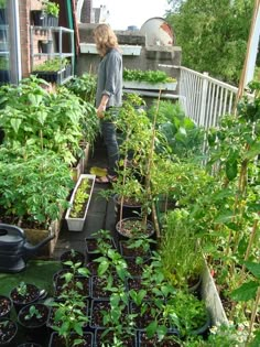 a woman standing in the middle of a garden filled with lots of plants