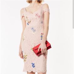 Size 12 Floral Dress Pink, Karen Millen Dress, Latest Dress For Women, Pink Lace Dress, Embroidered Lace Dress, Luxury Dresses, Lace Pink Dress, Floral Lace Dress, Luxury Dress