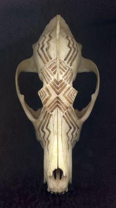 an animal skull with intricate designs on it's face and back end, against a black background