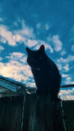 a black cat sitting on top of a wooden fence under a blue sky with clouds