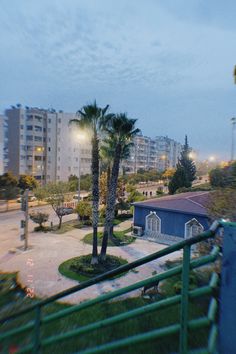 palm trees are in the foreground with buildings in the background at dusk or dawn