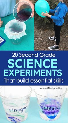 second grade kids doing science experiments 2nd Grade Science Experiments, Matter Experiments, Seed Science, Botany Lessons