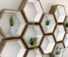 several hexagonal shelves with plants and vases on them are arranged in the shape of honeycombs