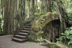 the steps lead up to an outdoor area with trees growing on it and moss growing all over them