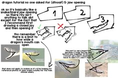 the diagram shows how to draw an alligator's mouth and teeth for each animal