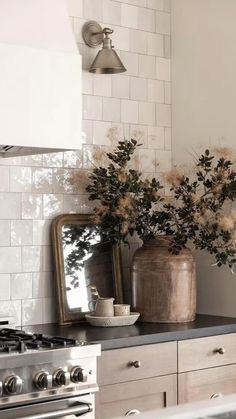 a potted plant sitting on top of a kitchen counter next to a stove and oven