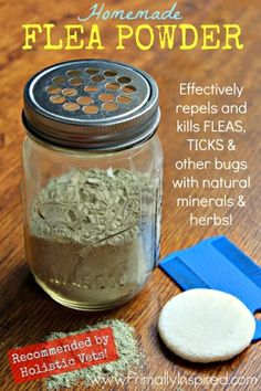 an image of homemade flea powder in a jar