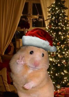 a hamster wearing a santa hat in front of a christmas tree