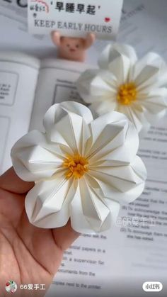 two white paper flowers are held in front of an open book with chinese characters on it