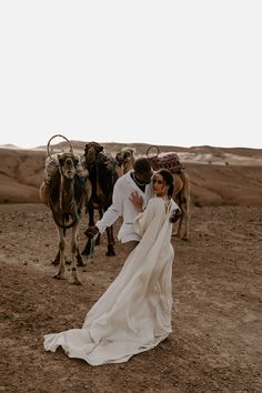 a bride and groom are walking in the desert with their camels behind them,