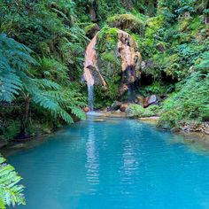 a blue pool surrounded by lush green trees and water features a waterfall in the middle