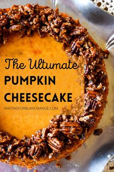 Baked pumpkin cheesecake with a candied pecan trim on a silver serving tray. Cheesecake Recipe Easy, Candied Pecan, Halloween Breakfast, Pumpkin Cheesecake Recipes, Pumpkin Recipes Dessert, Cheesecake Desserts, Candied Pecans, Thanksgiving Desserts