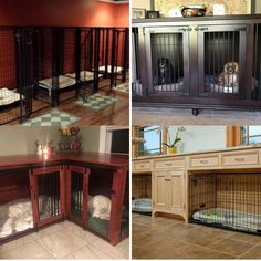 four different dog kennels in various stages of being used as beds and desks