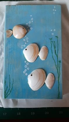 three seashells are placed on a blue board