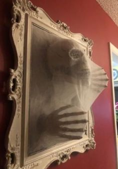 a cat's head is reflected in an ornate frame on the wall next to a mirror