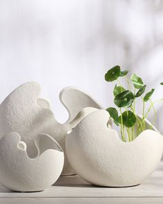 an egg shell shaped planter is shown next to it's eggshells