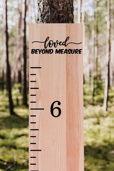 a wooden ruler with the words loved you and measure on it next to a tree