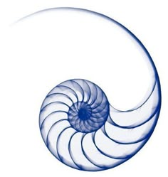 an image of a blue spiral on a white background