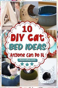 10 diy cat bed ideas anyone can do it