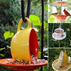 several pictures of birds eating from bird feeders in the garden, including one with a cup and saucer on it