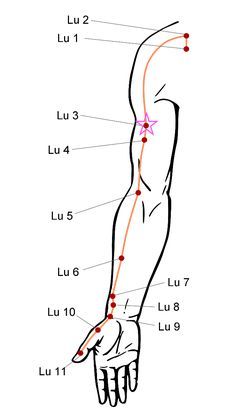 Meridian Acupuncture, Acupuncture Points Chart, Meridian Lines, Uplifting Gifts, Medical Anatomy