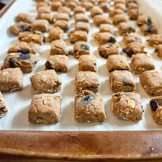 a baking tray filled with cookies and raisins