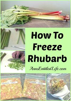 how to freeze rhubarb and use it for salads, sandwiches or desserts