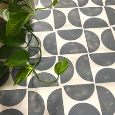 a potted plant sitting on top of a white and gray tile floor next to a green plant