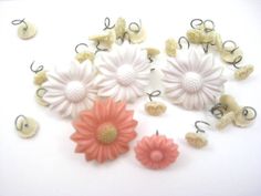 several different types of flowers on a white surface with letters spelled out in the background