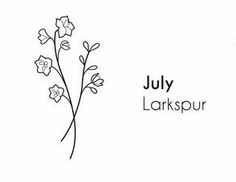 an ink drawing of flowers and the words july larkspur