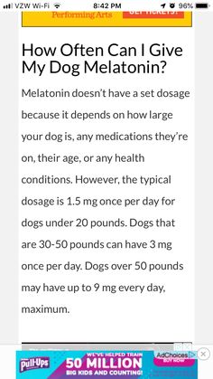 a cell phone with the text how often can i give my dog melatonin?