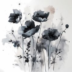 Mystic Aquarelle Black Poppies: For Those Who Crave the Unique in Art Black And White Watercolour Painting, Black White Watercolor, Dark Poppy Tattoo, Black Watercolor Flowers, Black Ink Painting Ideas, Black Watercolor Art, Watercolor Dark Art, Black Watercolor Painting, Dark Watercolor Paintings