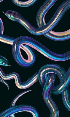 an image of colorful snakes in the night sky with long tails and tail curled up