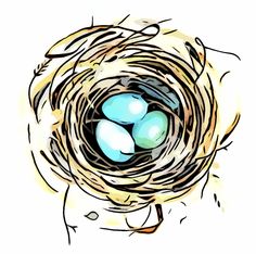 a bird's nest with three blue eggs in it on top of a white background