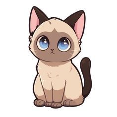 a siamese cat with blue eyes sitting down